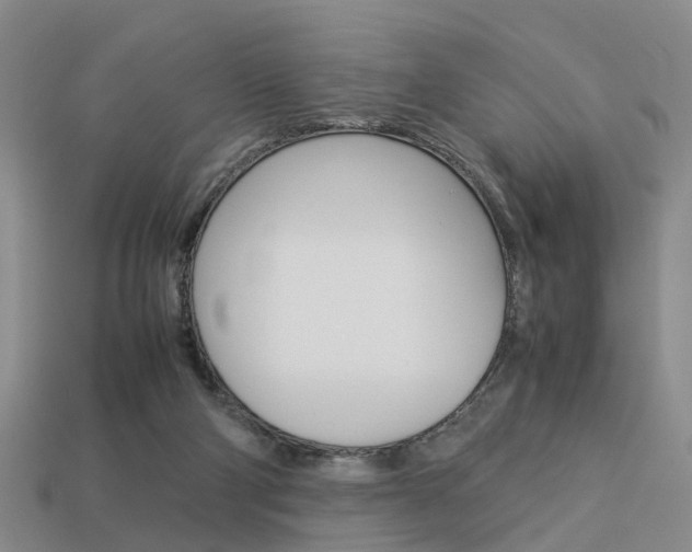 X0000114090114200910051218
