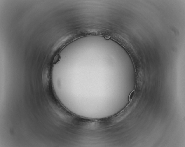 X0000114090116200910051218