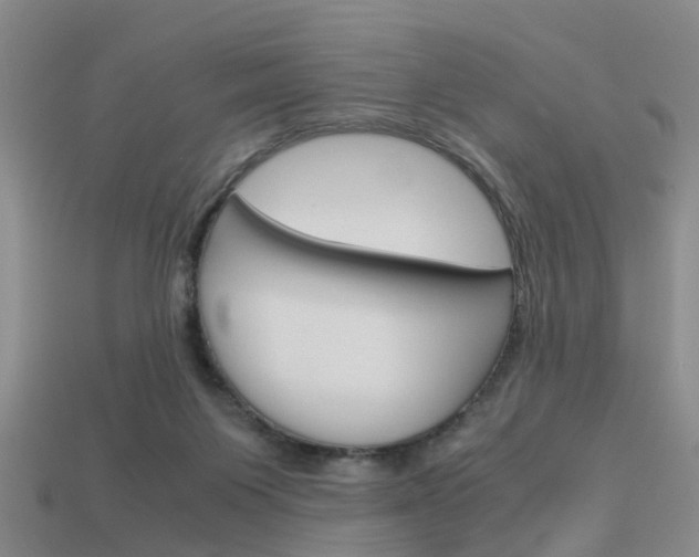 X0000114090119200910051218