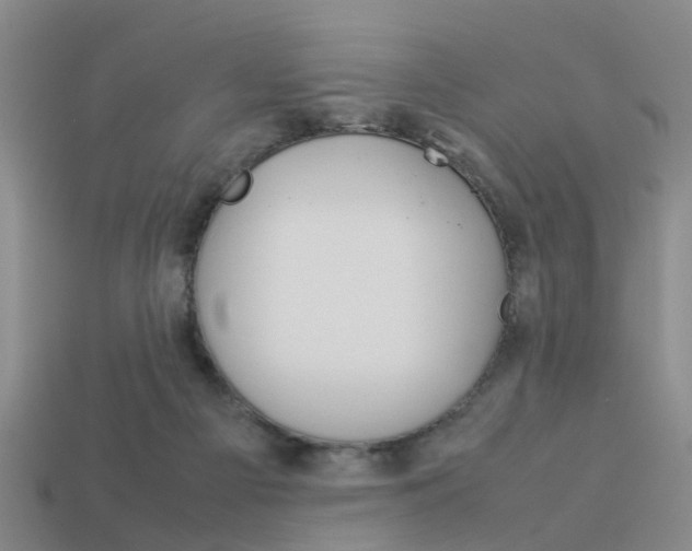 X0000114090121200910051218