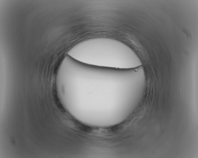 X0000114090125200910051218