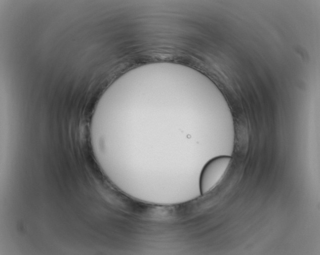 X0000114090126200910051218