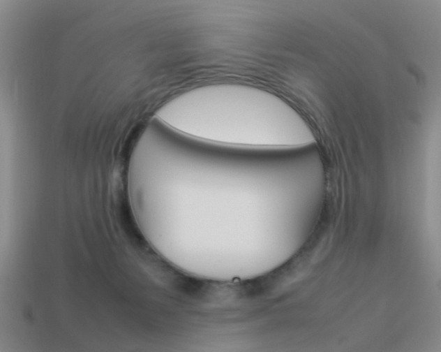 X0000114090127200910051218