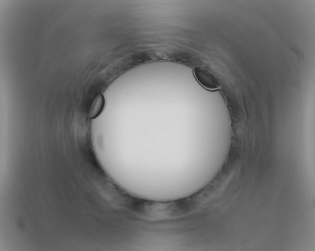 X0000114090129200910051218