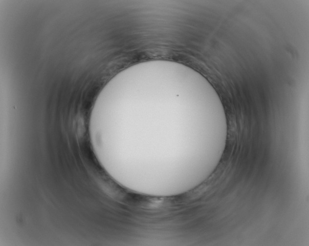 X0000114090130200910051218