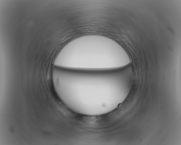 X0000114090131200910051218