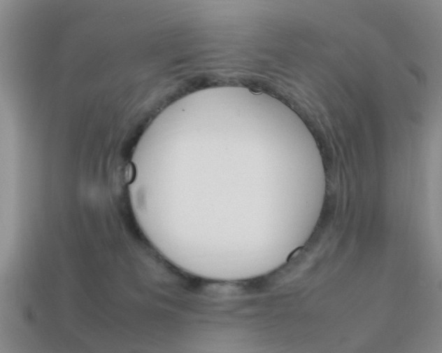 X0000114090133200910051218