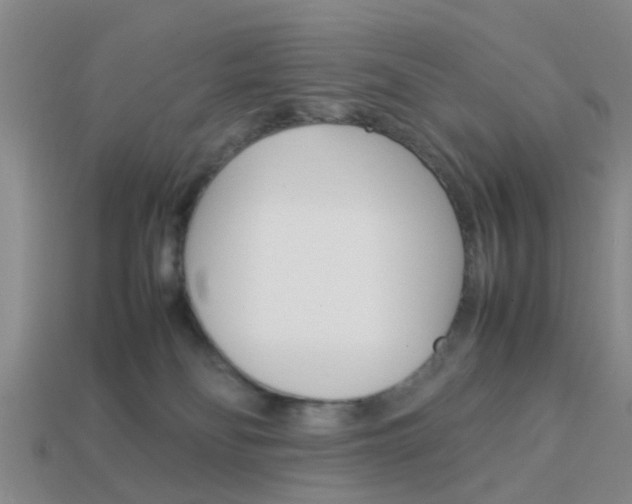 X0000114090134200910051218