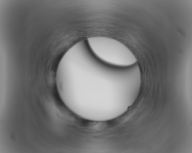X0000114090135200910051218