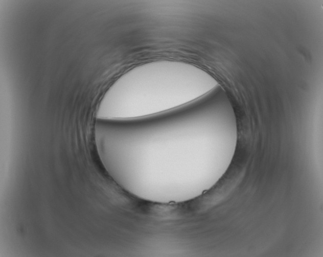X0000114090139200910051218