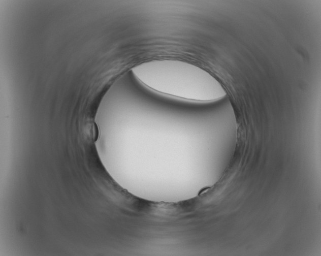 X0000114090141200910051218