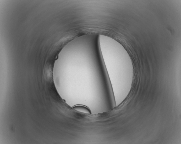 X0000114090143200910051218