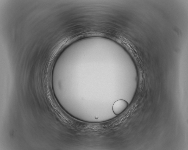 X0000114090145200910051217