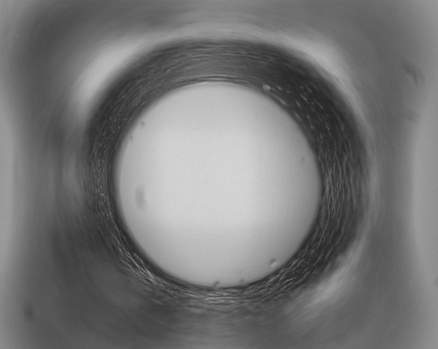 X0000114090146200910051217
