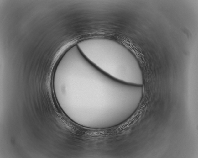 X0000114090147200910051217