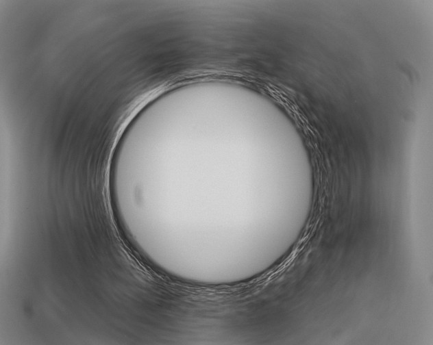 X0000114090148200910051217