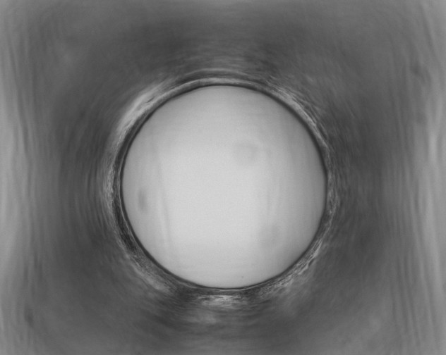 X0000114090151200910051217