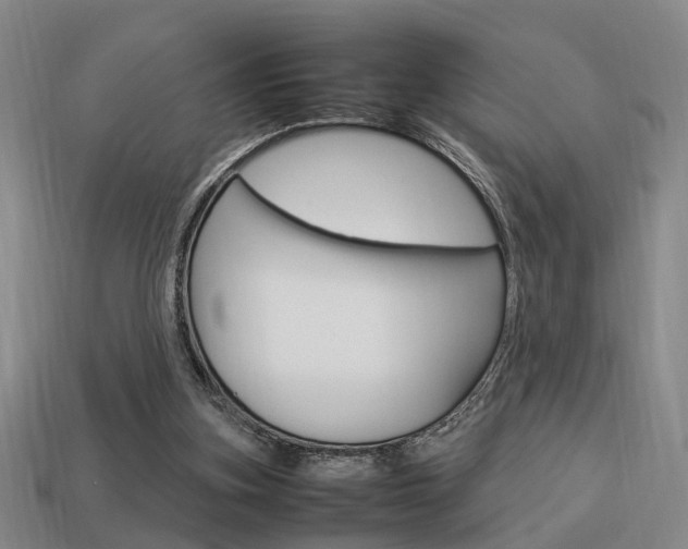 X0000114090155200910051217
