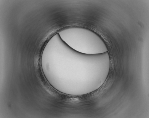 X0000114090159200910051217