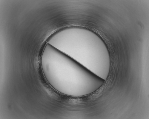X0000114090160200910051217