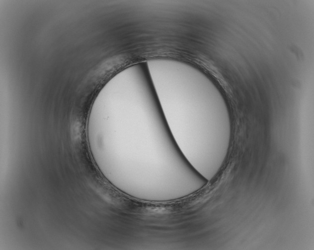 X0000114090161200910051217