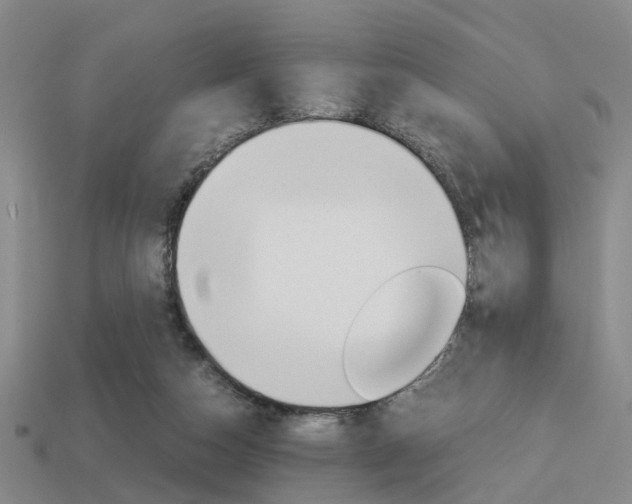 X0000114090162200910051217