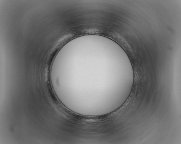 X0000114090163200910051217