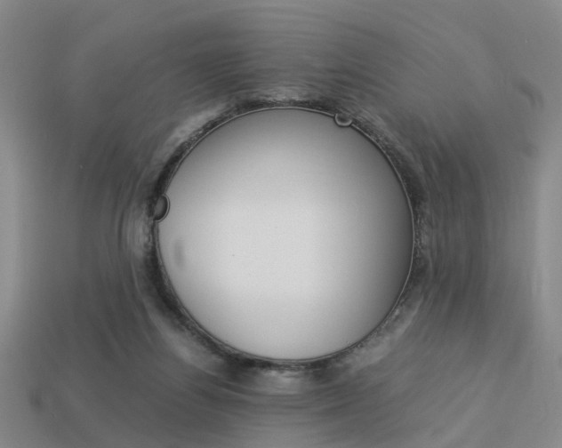 X0000114090164200910051217