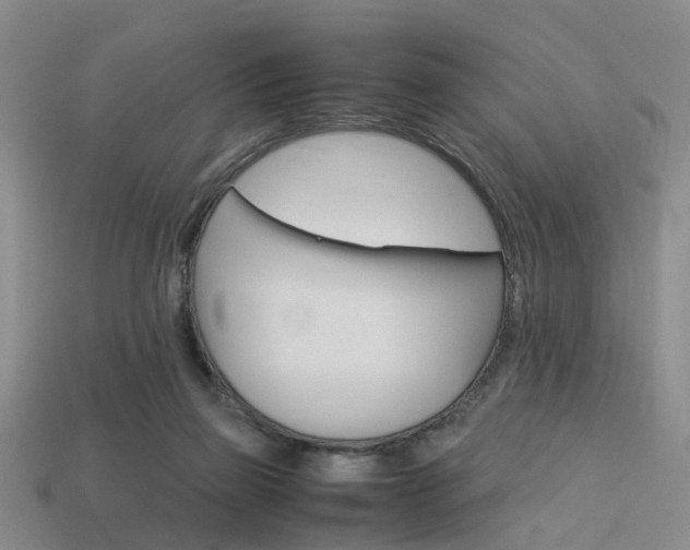 X0000114090165200910051217