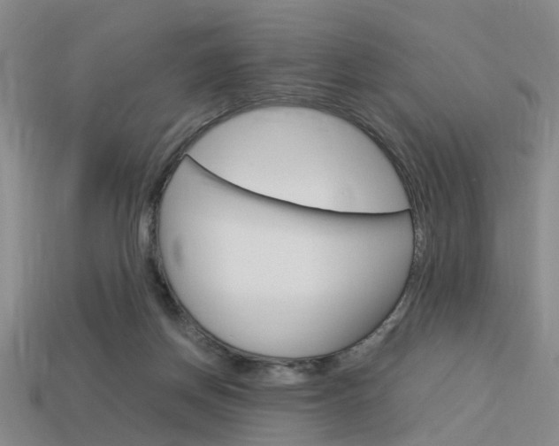 X0000114090166200910051217