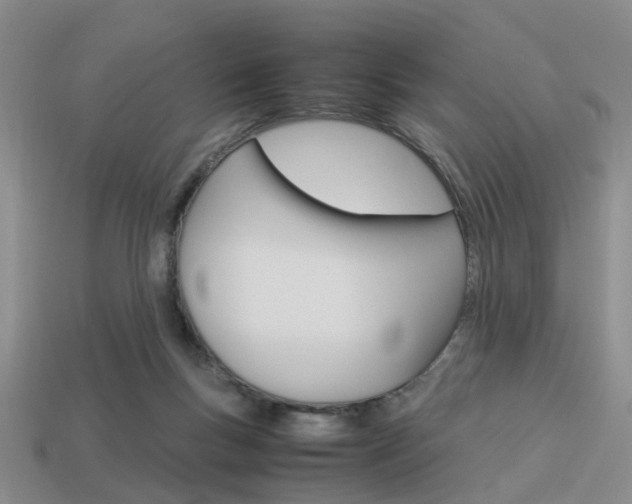 X0000114090167200910051217