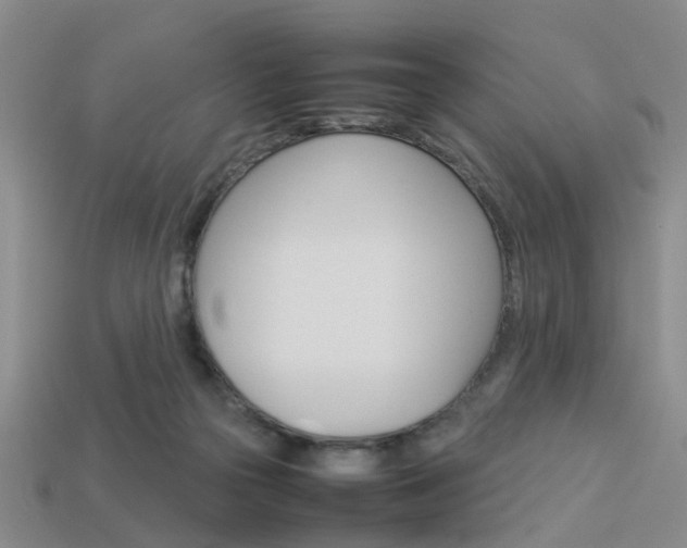 X0000114090169200910051217