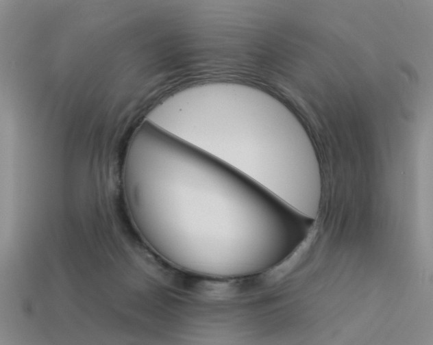 X0000114090170200910051217