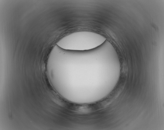 X0000114090173200910051217