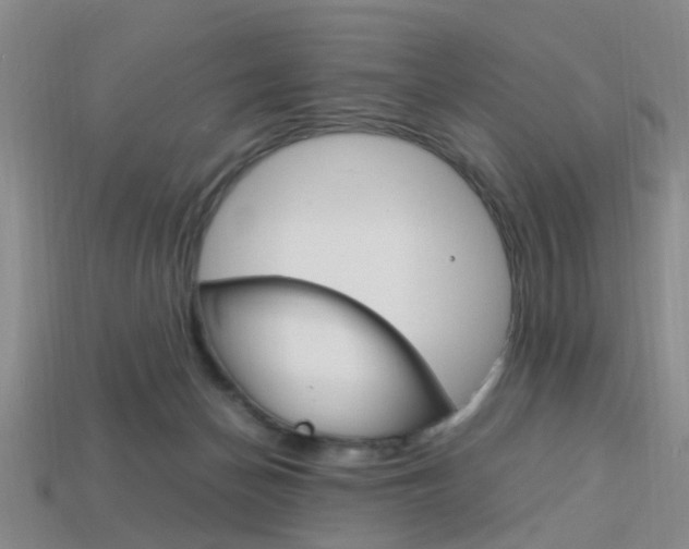 X0000114090174200910051217