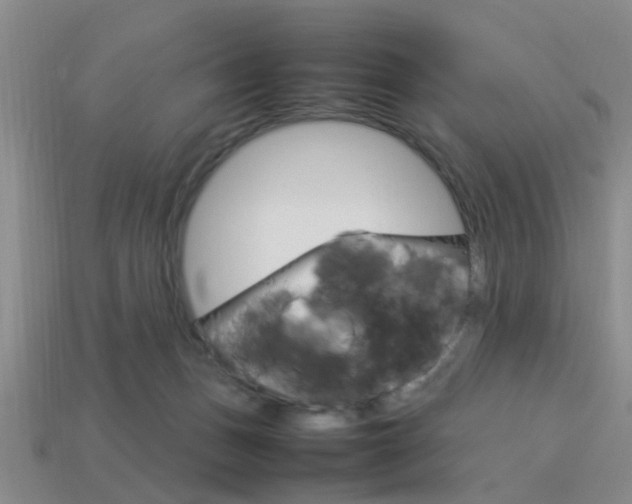 X0000114090175200910051217