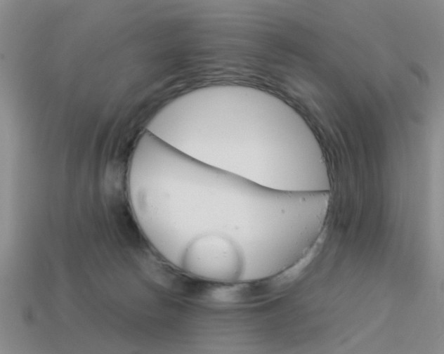 X0000114090178200910051217