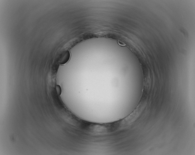 X0000114090180200910051217