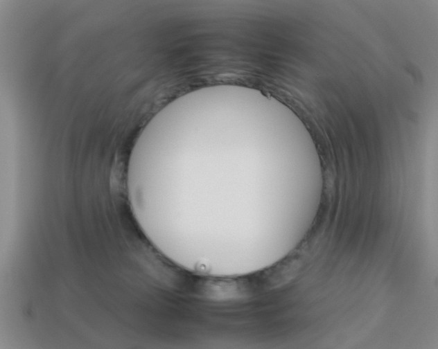 X0000114090181200910051217