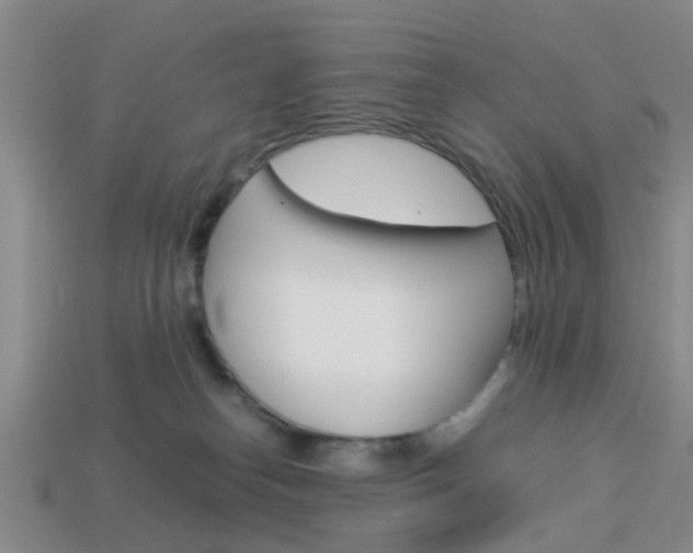 X0000114090182200910051217