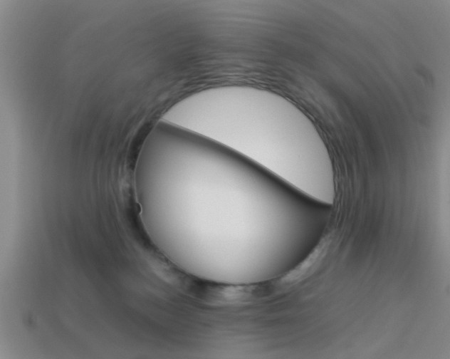 X0000114090184200910051217