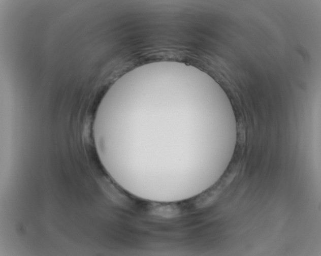 X0000114090185200910051217