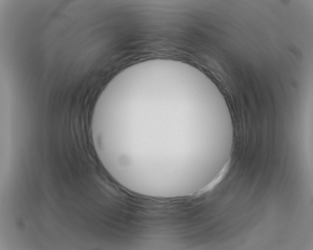X0000114090186200910051217