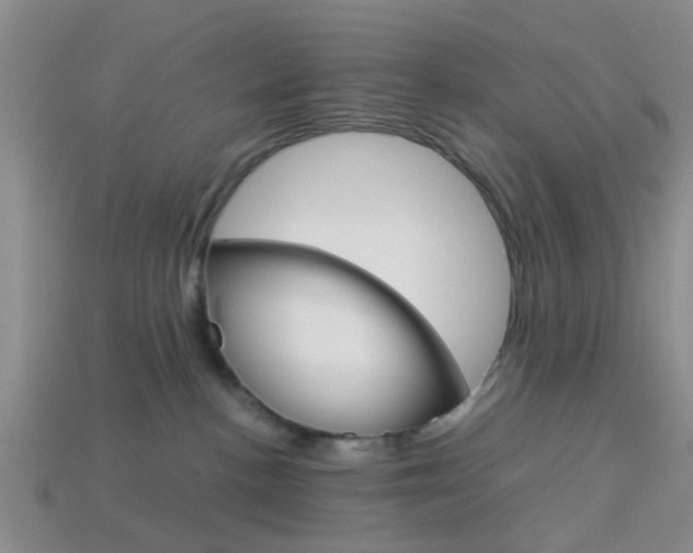 X0000114090188200910051218