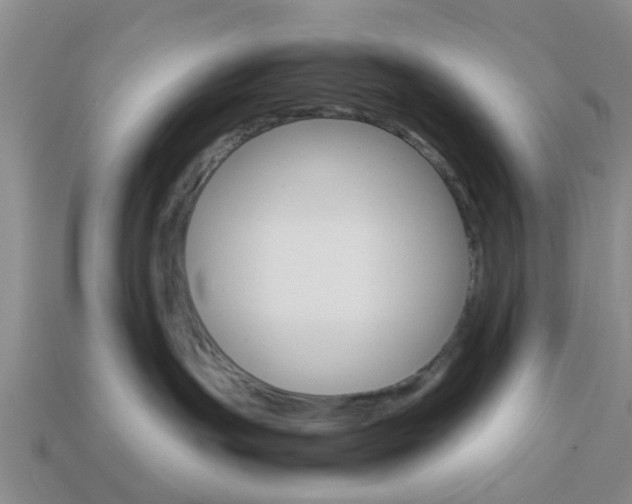 X0000114090191200910051218