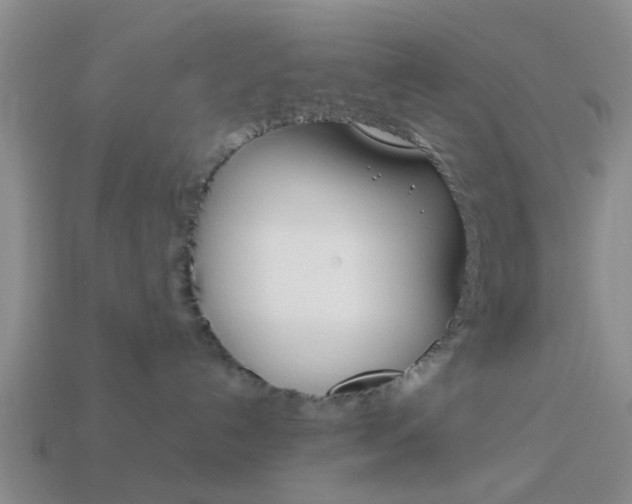 X0000114090192200910051218