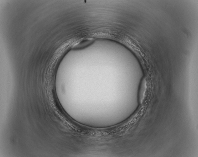 X0000114090193200910051217