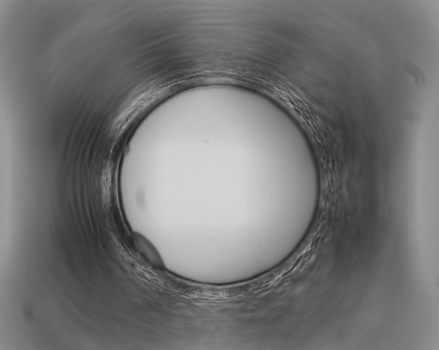 X0000114090194200910051217