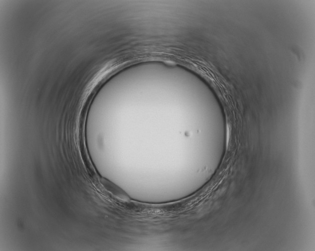 X0000114090195200910051217