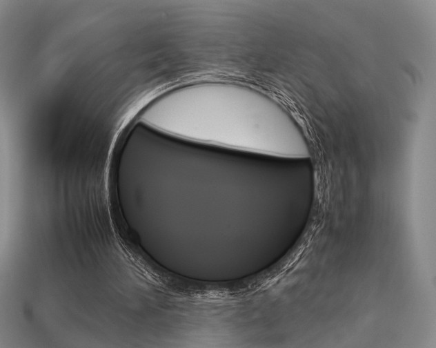 X0000114090196200910051217
